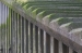 Bankside River Wall