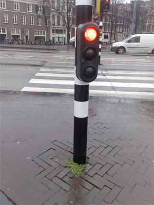 Droogbak